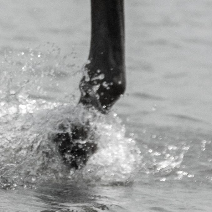 Aquatraining für Pferde Aquatraining für Pferde